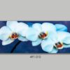 cuadro-cristal-orquideas-belda-491-010-electricidad-aranda-lamparas-almeria-