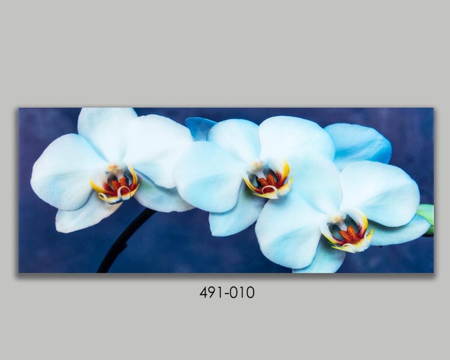 Cuadro cristal ORQUIDEAS Medidas 150x60cm  491-010 BELDA DISPONIBLE EN TIENDA