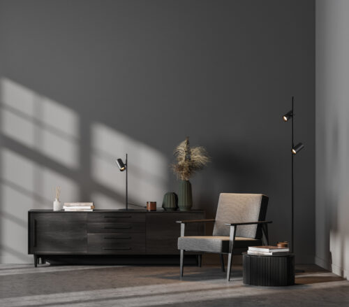 Dark,Contemporary,Waiting,Room,Interior,With,Wooden,Sideboard,,Small,Coffee