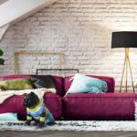 Figura ROCKY perro pitbull negro mediado con colores Schuller