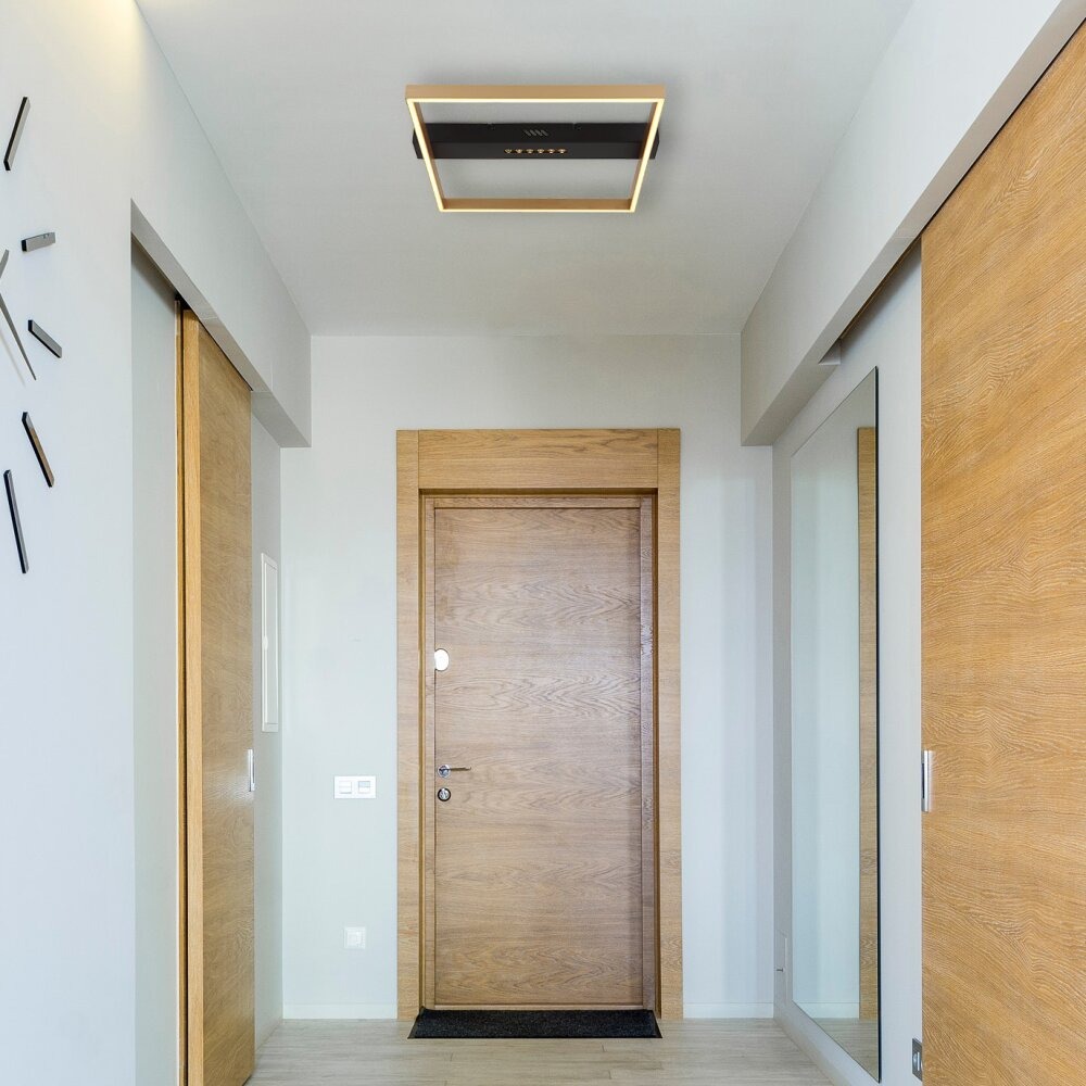 Plafón LUFFY negro y dorado 24w Led Globo Lighting